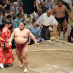 “三役の壁” 大栄翔が1敗の伯桜鵬を下す「幕内はみんな強いので気合を入れて取った」