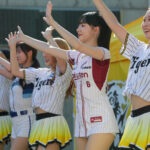 【阪神】台湾のチアリーダーが甲子園に登場！試合前と直前に華やかなパフォーマンス