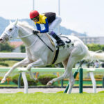 白毛馬マルガがレコードで白星デビュー、G1馬ソダシの半妹が武豊騎手とファンを魅了／新馬戦